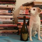 Zoe the Dog, New Year's Eve 2012