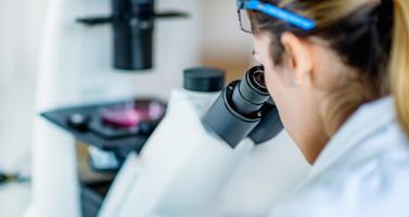 Researcher in a laboratory