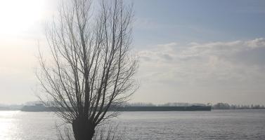 The Waal river near the Gelderland village of Ochten, 5 February 2021